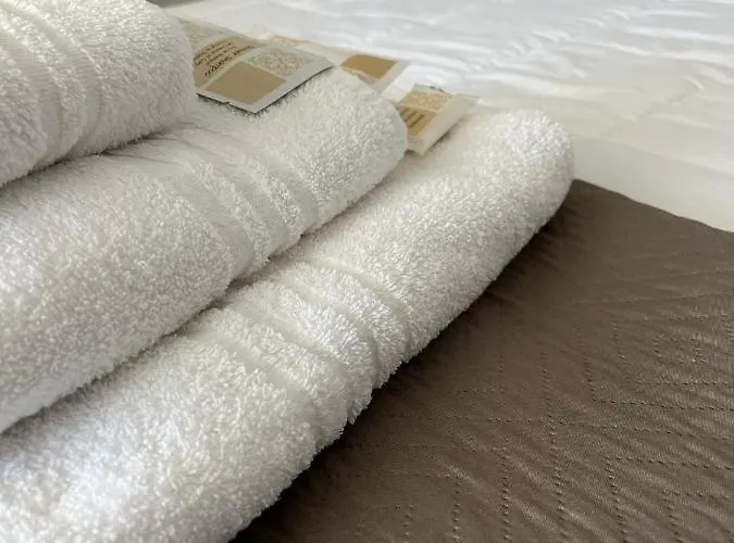 Civico 36 公寓 维博瓦伦蒂亚